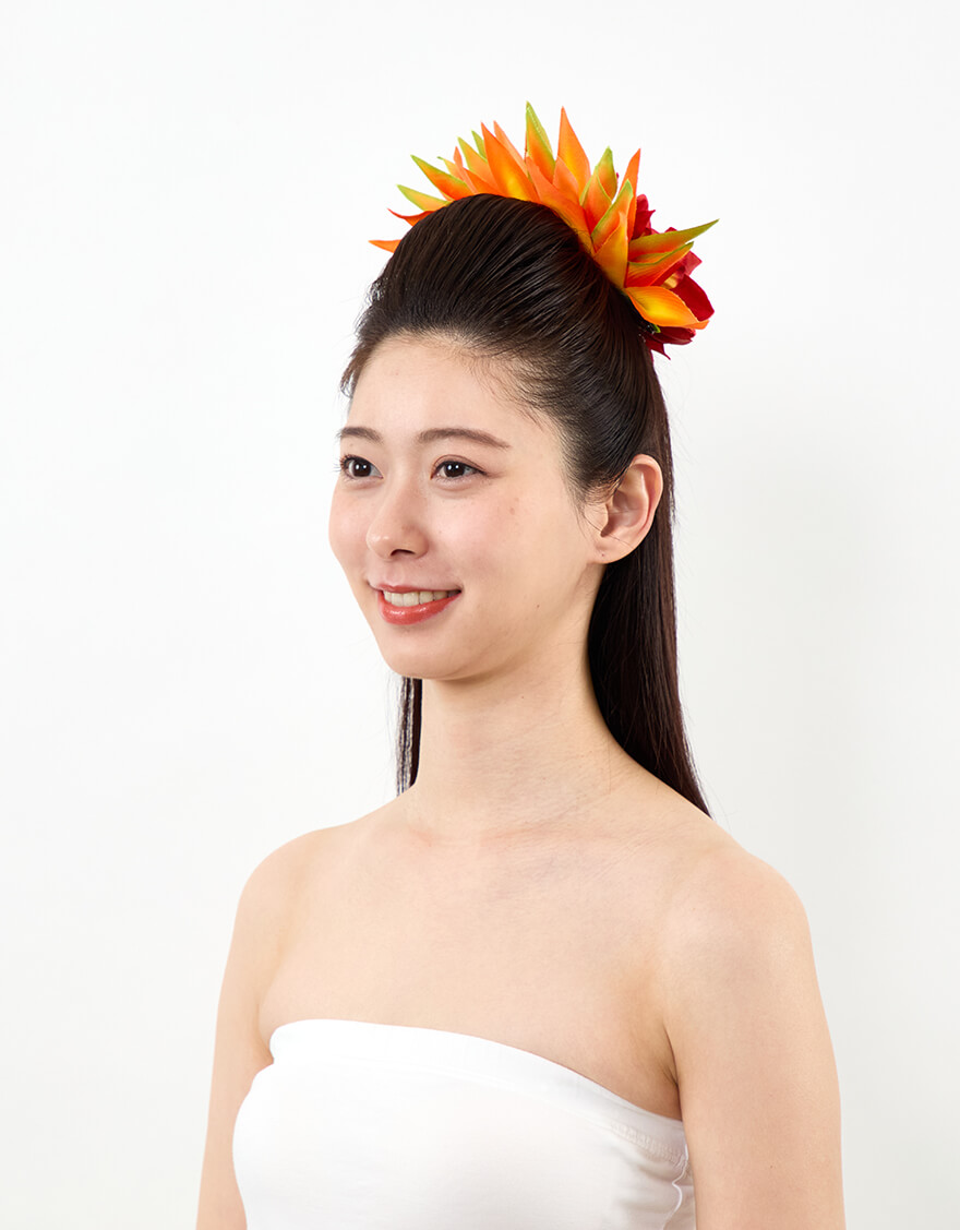 【ウィッグ,ヘアーアクセサリー】ロコウィッグ（ボリュームアップコーム）